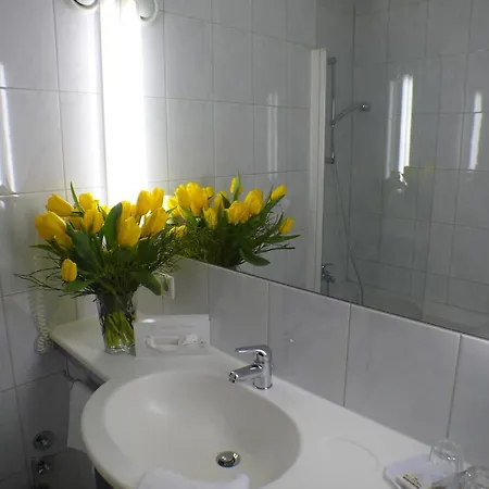 Alpinpark Otel 4*